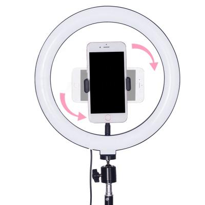 China 26cm/10inch Plastic 15w 2200K-5500K LED Make Up Ring Light Phone Ring Light for sale