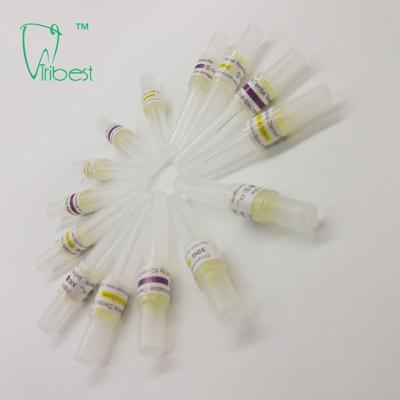 China ISO13485 Disposable Dental Syringe Needle For Both Metric And Imperial Systems for sale