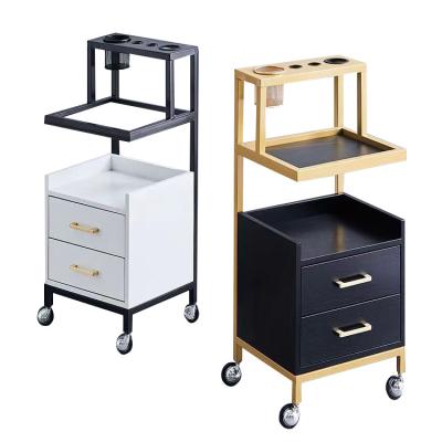 China Modern Mobile High Quality Salon Trolley Car Beauty Salon Tool Trolley Hair Salon Styling Trolley for sale