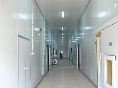 China Medical Cold Storage Panel Food Slaughtering Cold Chain Special Board Purification Board for sale