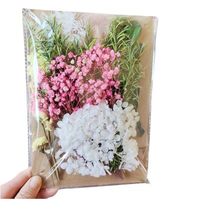 China Real Aromatherapy Candle Photo Frame Greeting Card Bag 1 Dry Handmade Pressed Dried Flower Plants For Aromatherapy Candle Photo Frame Greeting Card DIY Accessories for sale