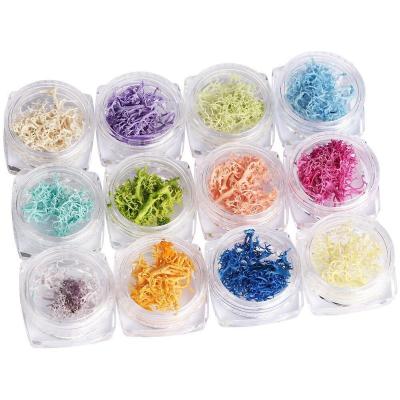 China 12 Colors Plastic 3D Nail Art Seaweed Dry Preserved Nature Coral Flowers Tips Decoration Nail Seaweed Nail DIY Manicure Accessories for sale