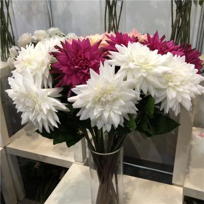 China Indor decoration K-1007 artificial latex large dahlia flowers for home decoration and real touch artificial nature rose flower for sale