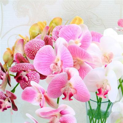 China Factory D1144 Natural Touch/Touch Orchid Wholesale Artificial Flower Direct Design Eco-friendly Orchid New Real For Decoration for sale