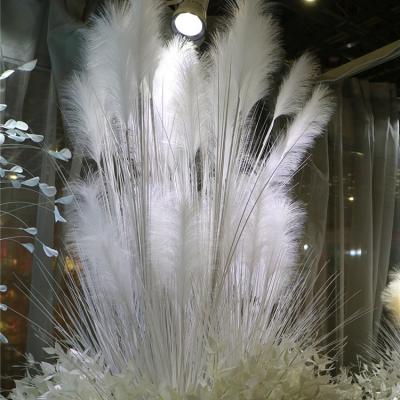 China Environmentally Friendly New Products V-3050 Artificial Phragmites Pampas Grass Real Touch For Indoor Decoration for sale