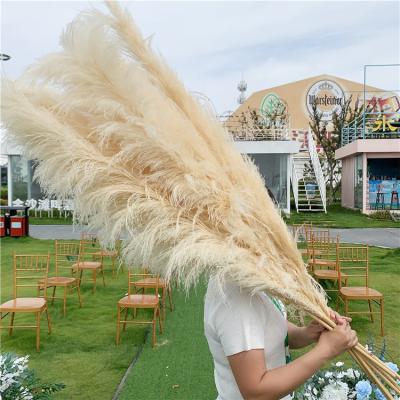 China decorative flower & V-3078 wholesale white natural dry rose pampas grass garland for wedding for sale