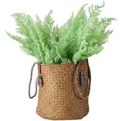 China Fashional Artificial Leaves Z-3260 Natural Touch / Eco - Friendly Artificial Plastic Fern Leaves For Decoration for sale