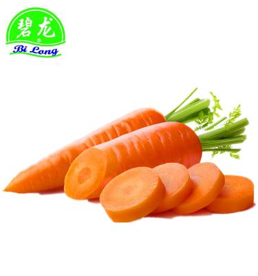 China Fresh Fresh Chinese Carrots S M L 2L 3L Size for sale