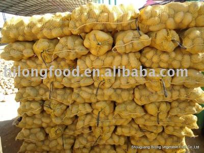 China fresh fresh potato for sale