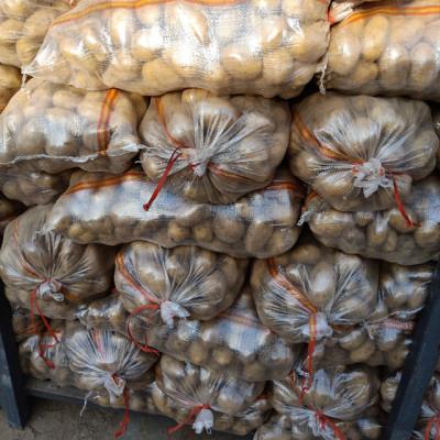 China 2019 Wholesale New Crop Fresh Holland Potato (Chinese Product) for sale