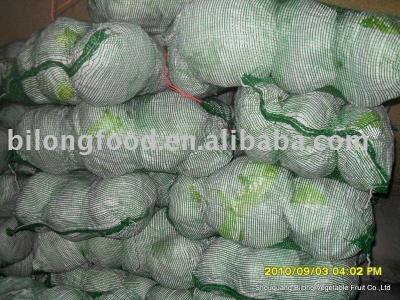 China fresh flat cabbage for sale