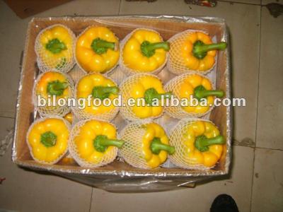 China 2017 new fresh color fresh yellow pepper (china origin) for sale