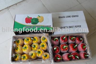 China Fresh fresh sweet pepper (Chinese) for sale