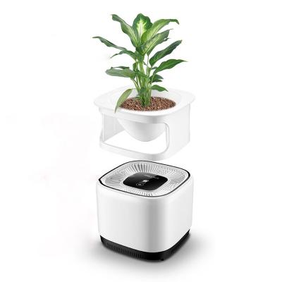 China Indoor Natural Aromatherapy Household Office Bedroom Cultivation Green Plant Pot Air Filter Purifier For Office for sale