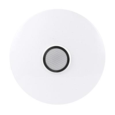 China 36W RGB LED Ceiling Lights Outdoor Mounted BT Music Light Bedroom Lamps Smart Home Lighting Ceiling Lamp+ Remote Control for sale