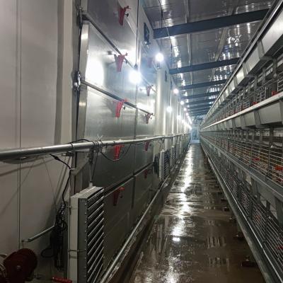 China High Quality Best Price Poultry Layer Chicken Cage Farms H Type Equipment for sale