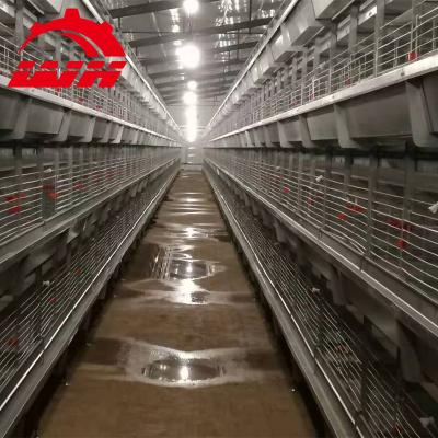 China Professional Farms Metal Large Turkey Poultry Farm Layer Cage And Broiler Cage for sale