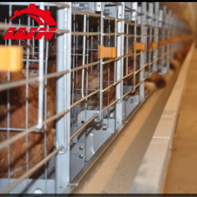 China Durable 3-5 Tier Automatic Chicken Layer Battery Cage For Tanzania Poultry Farm for sale