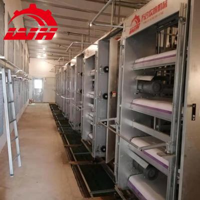 China Farms Broiler Cage System Chicken China Poultry Cage Equipment for sale