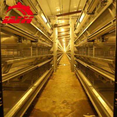 China Automatic Farms H Type Chicken Cage For Broilers And Baby Chicks for sale