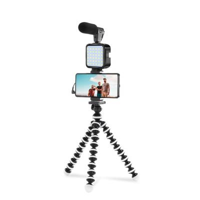 China Mini Hot Selling Microphone Mini Camera Video Light Kit For Mobile Phone Live Streaming for sale