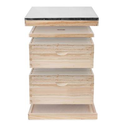 China Bee Farm 2 Layers 10 Frames Langstroth Hive for sale