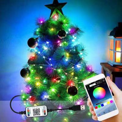 China 5m 10m 15m 20m Garden Sync Music USB Blue-tooth Control Phone APP Outdoor Garden Decoration Smart String Lights for sale