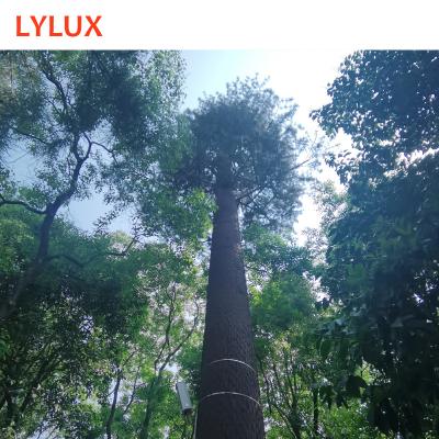 China City/Park/Mountain/Island code CE/BS/ASTM/AS designed 25m single pole camouflage 5G tree tower, disguising pine tree at mountain, park, forest for sale