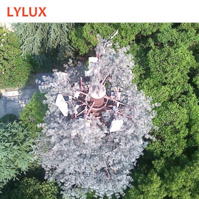 China City/Park/Mountain/Island code CE/BS/ASTM/AS designed 25m telecom camouflaged tower, bionic tower, mountain disguised tower, park, forest for sale