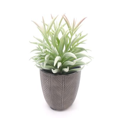 China Environmental Friendly Artificial Succulent Plant Layout In Cement Pot Home Office Decor for sale