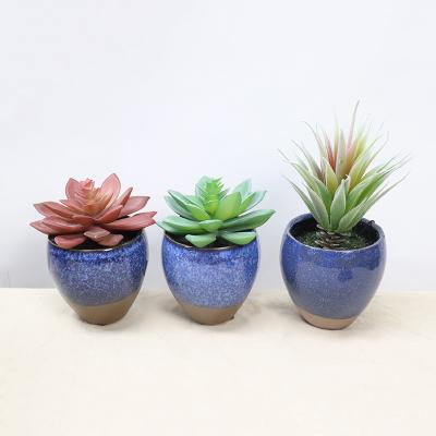 China Fashional Artificial Flowers Haoshilai Diy Mini Office Decoration Desktop Pink Artificial Succulents Plants in Ceramic Pot for sale