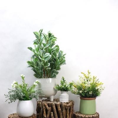 China Fashional Artificial Flowers Artificial Plants Succulent Flowers with Ceramic Pot Green Artificial Potted Plants for Office Table Decoration for sale