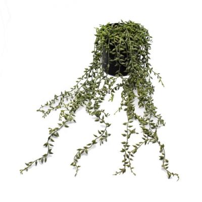 China High Simulation Artificial Succulent Plants, Lover's Tears Artificial Succulent Plants Beads Fleshy Green Vine Rattan Hanging Flowers for sale