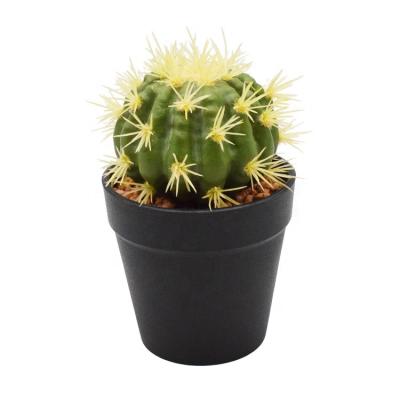 China High Level Simulation Cactus Artificial Succulent Plants In Plastic Pots Home Decoration Matched Decorative Faux Succulent for sale