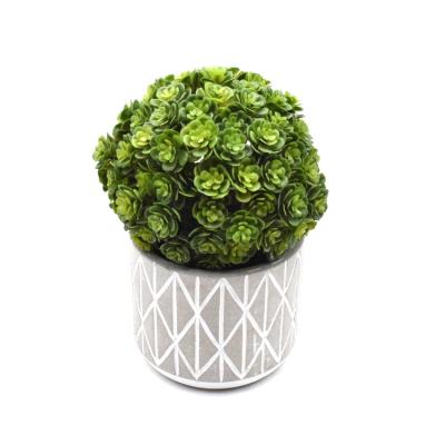 China High Level Simulation Decorative Home Plants Garden Potted Cement Greenery Plant Artificial Succulent Plants for sale