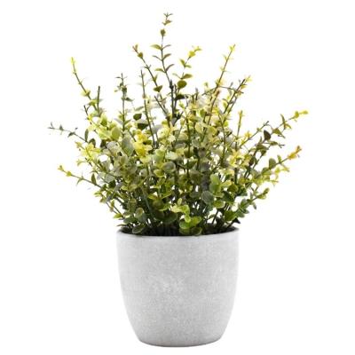 China High Level Simulation Plastic Oregano Plant Artificial Grass Plants With Paper Pot For Home Decor Greenery Simulation Artificial Greenery for sale