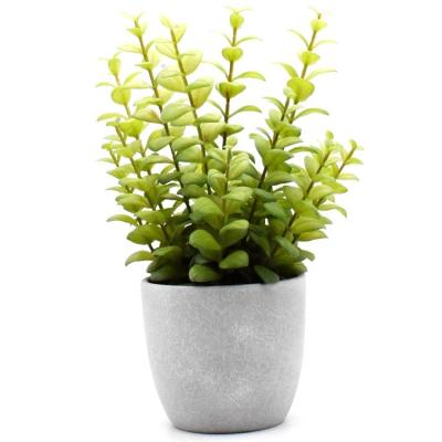 China High Level Artificial Herb Plants, Simulation Privet Pot for Home Deco, Decoration Plant with Plastic Grass Paper Plant Price for sale