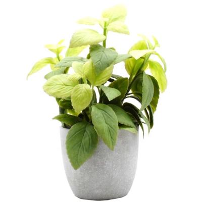 China High Level Simulation Artificial Grass Plants, Simulation Mint Plant With A Paper Pot For Home Deco, Desktop Shelf Decoration Plant Plastic Mint for sale