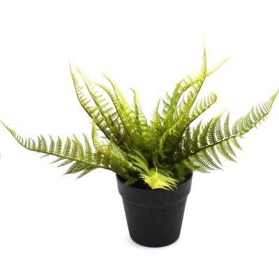 China High Simulation Level Artificial Boston Fern Plant Green Grass Plant Shrubs for Indoor Outdoor Garden Decor for sale