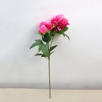 China Natural Touch Artificial Flowers For Wedding Artificial Simulated Silk Living Room Natural Looking Peony Artificial Flower Faux Flower for sale