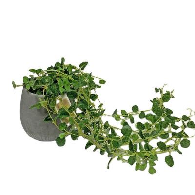 China Artificial Plant Greenery Ivy Hanging Plants in Cement Pot for Wall Decoration for sale