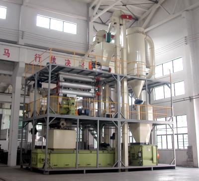 China Soybean Broiler Chicken Feed Pellet Production Line 2-10TPH for sale