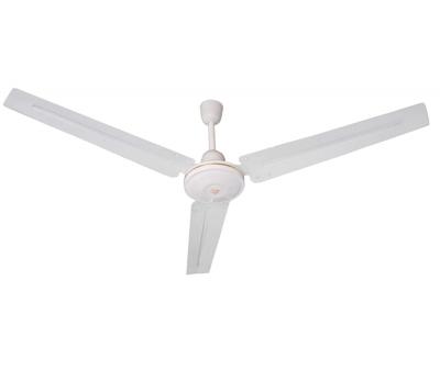 China Source 240 Household Appliances Lower Noise And High Efficiency Electric Voltage (V) And Metal Material 56 Inch Ceiling Fan for sale