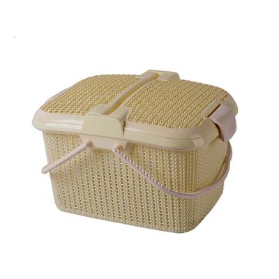 China The Factory Sold Out Picnics Fruit Basket Injection Molding Machine Plastic Cane Basket Storage Baskets Mould for sale