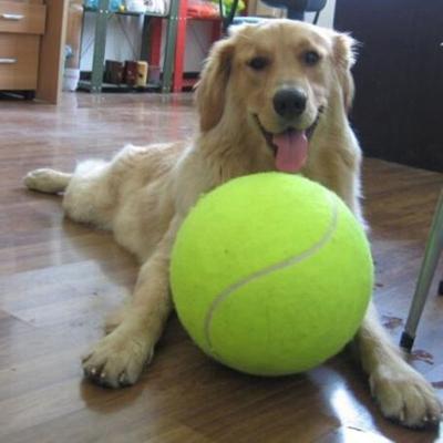 China Tennins Forming Custom Large Inflatable Tennis Ball 24cm Tennis Holiday Event Gift 9.5 Inch Pet Tennis Ball for sale