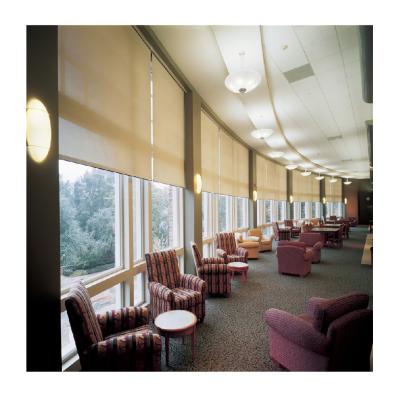 China Durable indoor tuya motorized roller window blinds window shades blackout roller blinds in china for sale