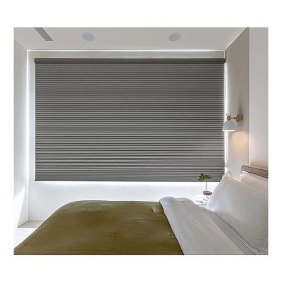 China Honeycomb 38mm Blinds Blackout Blackout Google Curtain Panel Row Dual Day And Night UV Protection Electric Cells View for sale