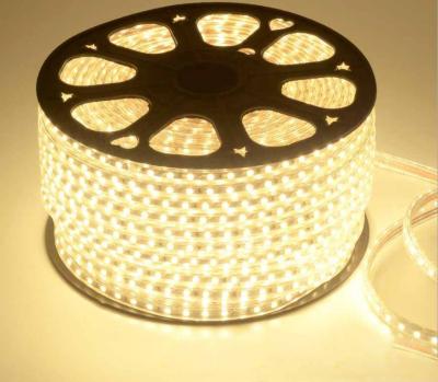 China Wholesale Outdoor Waterproof Led White 100M Led Strip Lights Office Factory Rope Light 5050Leds 6500k Daylight for sale