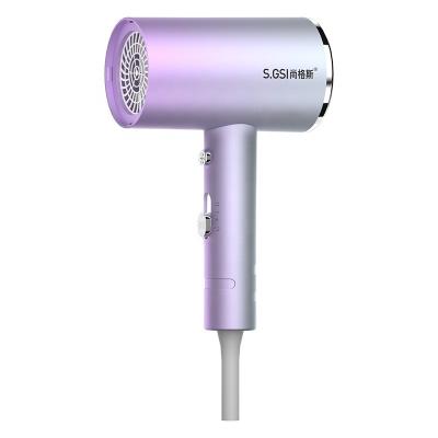 China Other Hot Selling Professional Induction Function Motor Professional Salon DC Blow Hair Dryer for sale