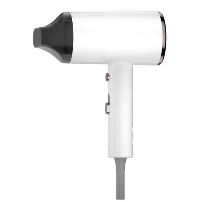 China Other Hot Sale Hair Dryer Negativ Ion Reverse Air Hand Hair Negative Negative Blow Dryer for sale